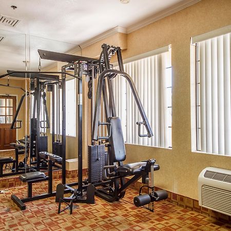 סאות' סן פרנסיסקו Comfort Inn & Suites San Francisco Airport North מראה חיצוני תמונה