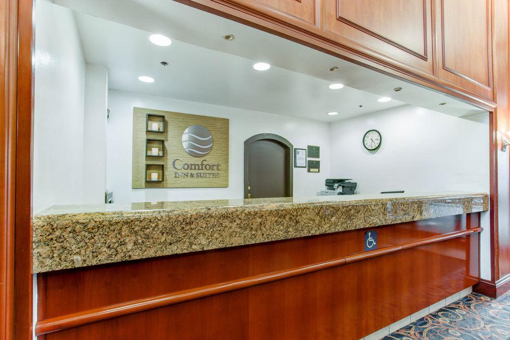 סאות' סן פרנסיסקו Comfort Inn & Suites San Francisco Airport North מראה חיצוני תמונה