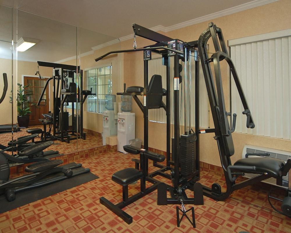 סאות' סן פרנסיסקו Comfort Inn & Suites San Francisco Airport North מראה חיצוני תמונה