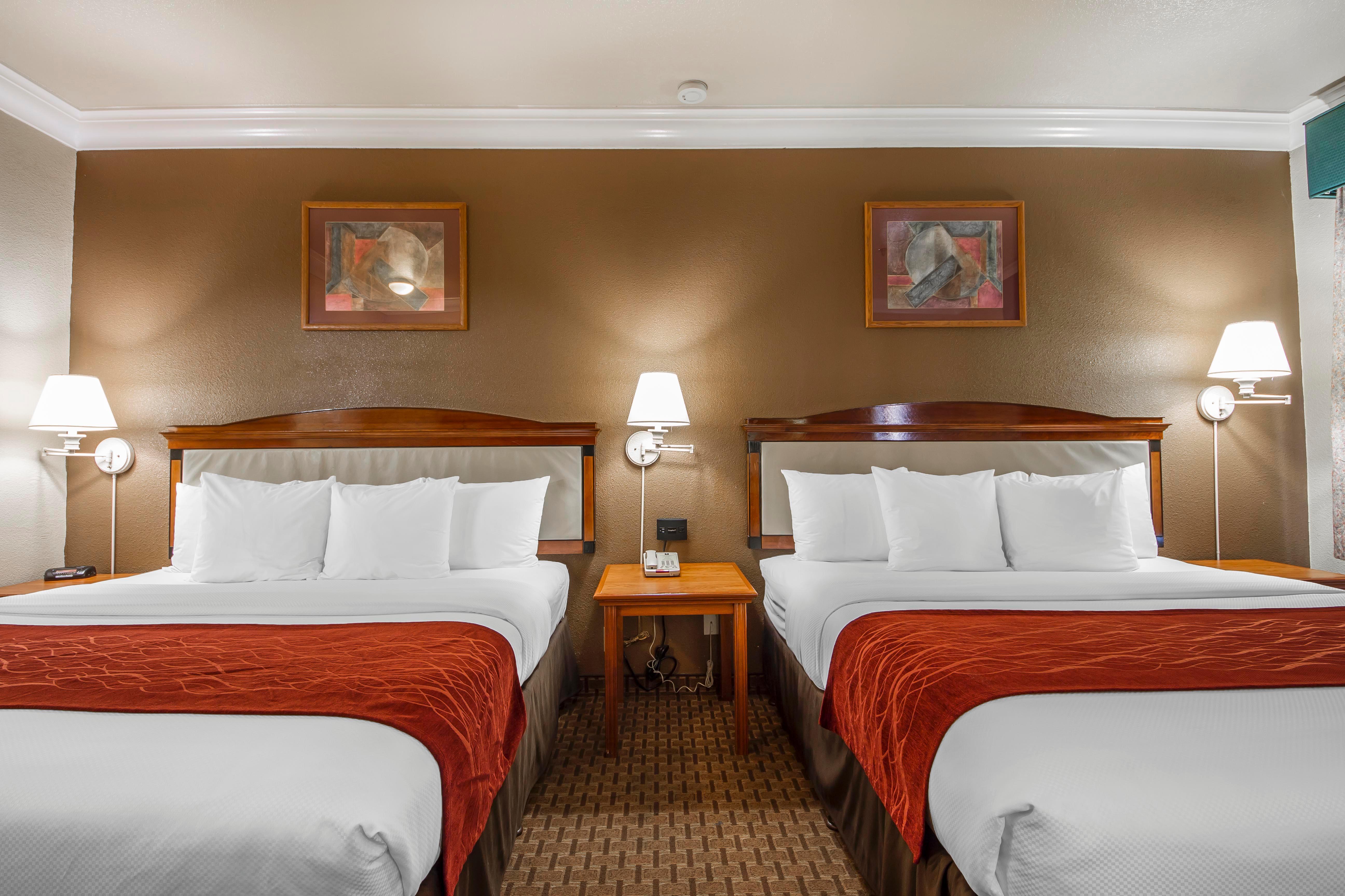 סאות' סן פרנסיסקו Comfort Inn & Suites San Francisco Airport North מראה חיצוני תמונה