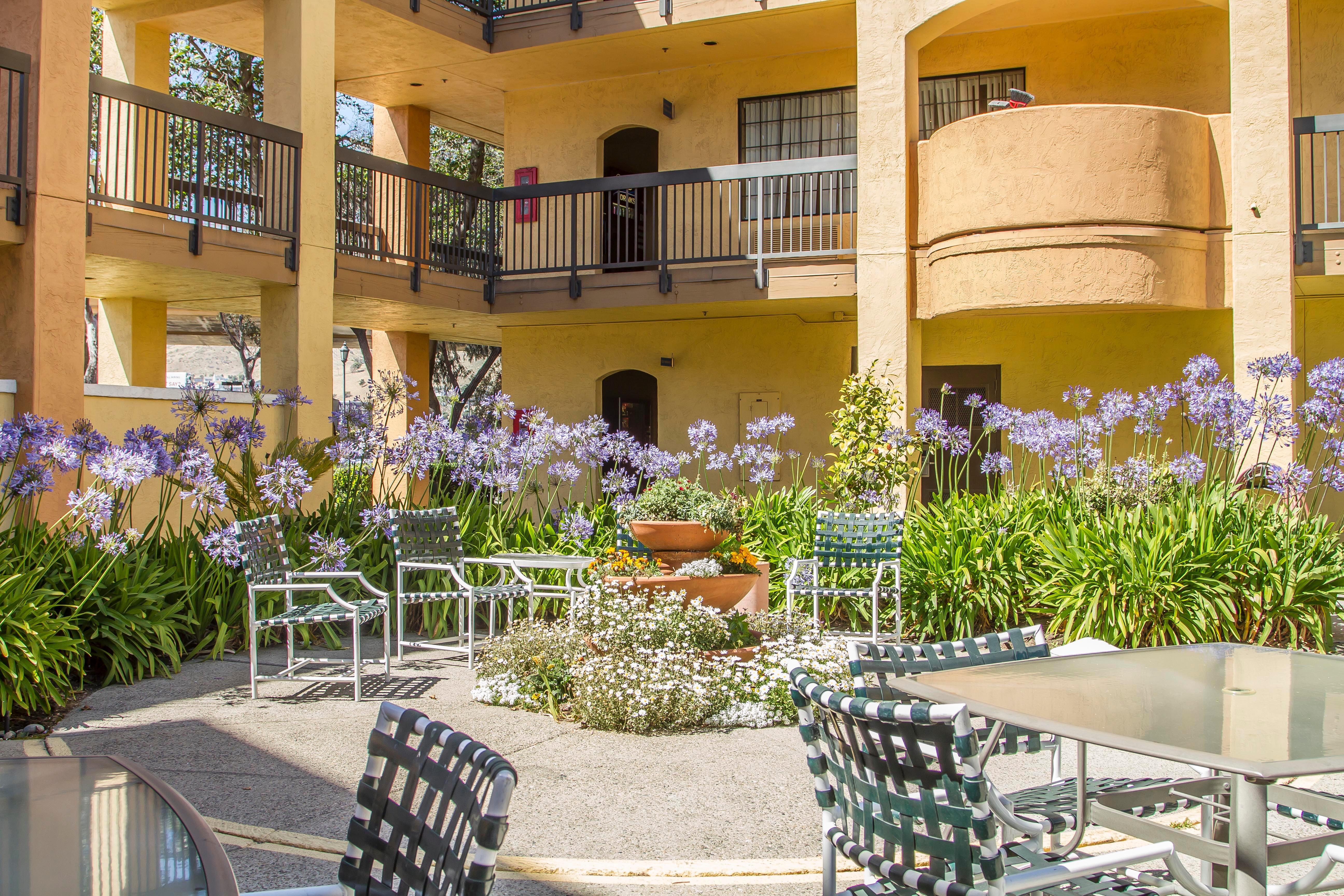 סאות' סן פרנסיסקו Comfort Inn & Suites San Francisco Airport North מראה חיצוני תמונה