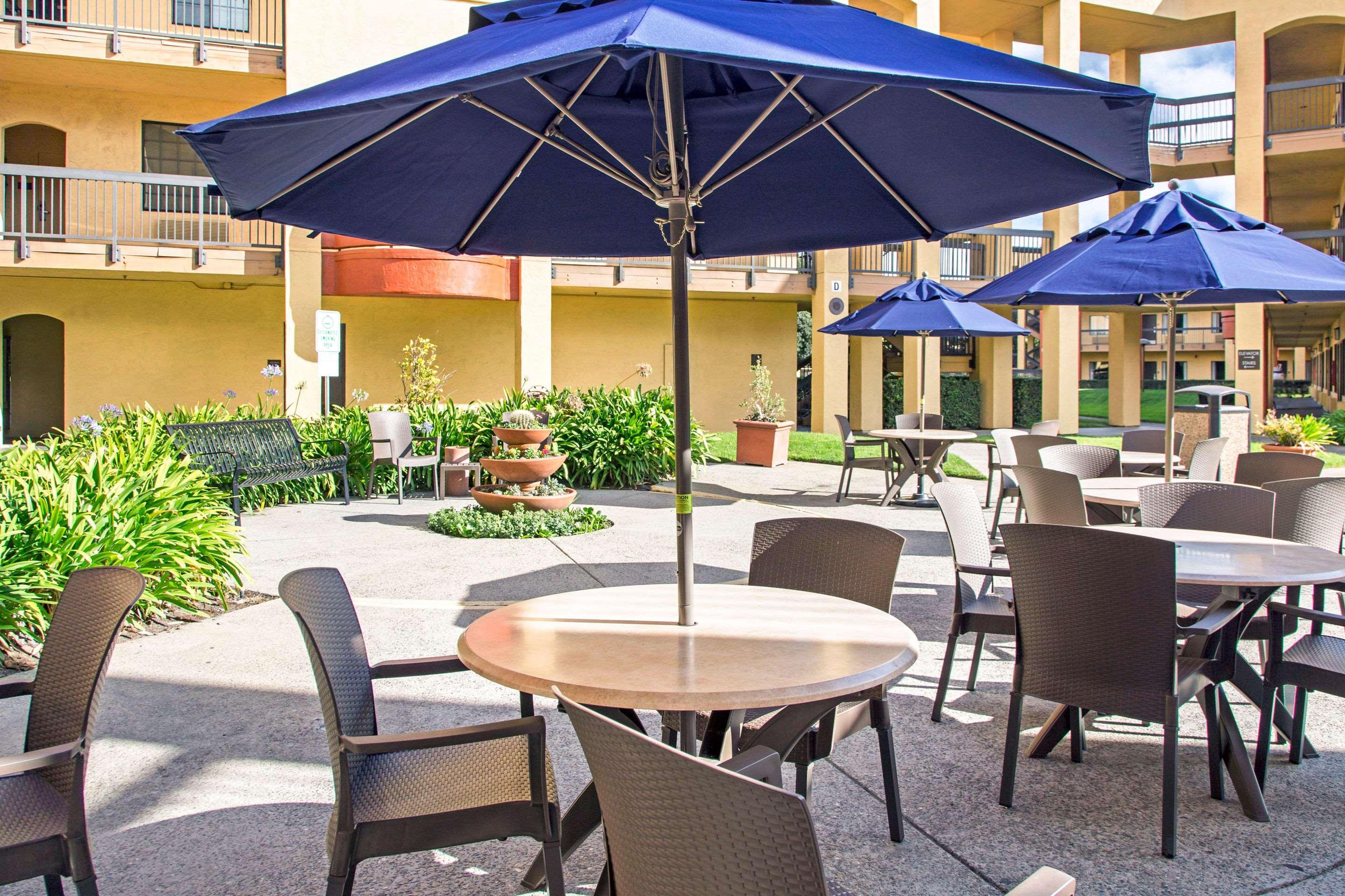 סאות' סן פרנסיסקו Comfort Inn & Suites San Francisco Airport North מראה חיצוני תמונה
