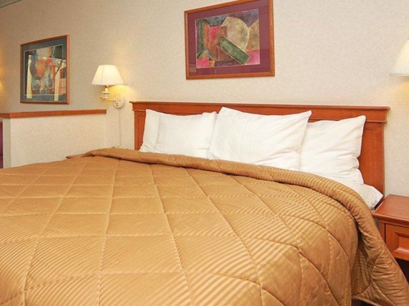 סאות' סן פרנסיסקו Comfort Inn & Suites San Francisco Airport North מראה חיצוני תמונה